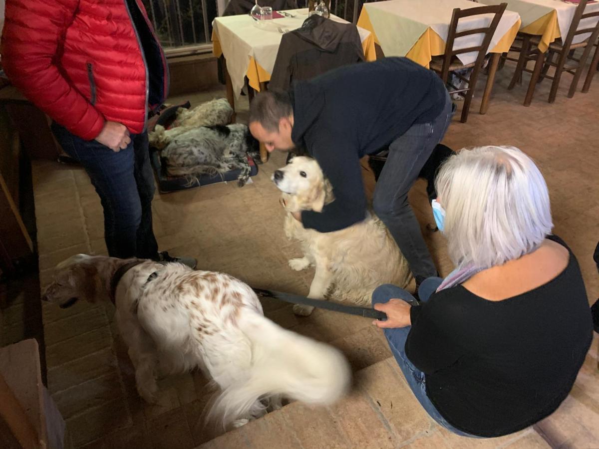 Setterhouseagrihotel 特雷维 外观 照片