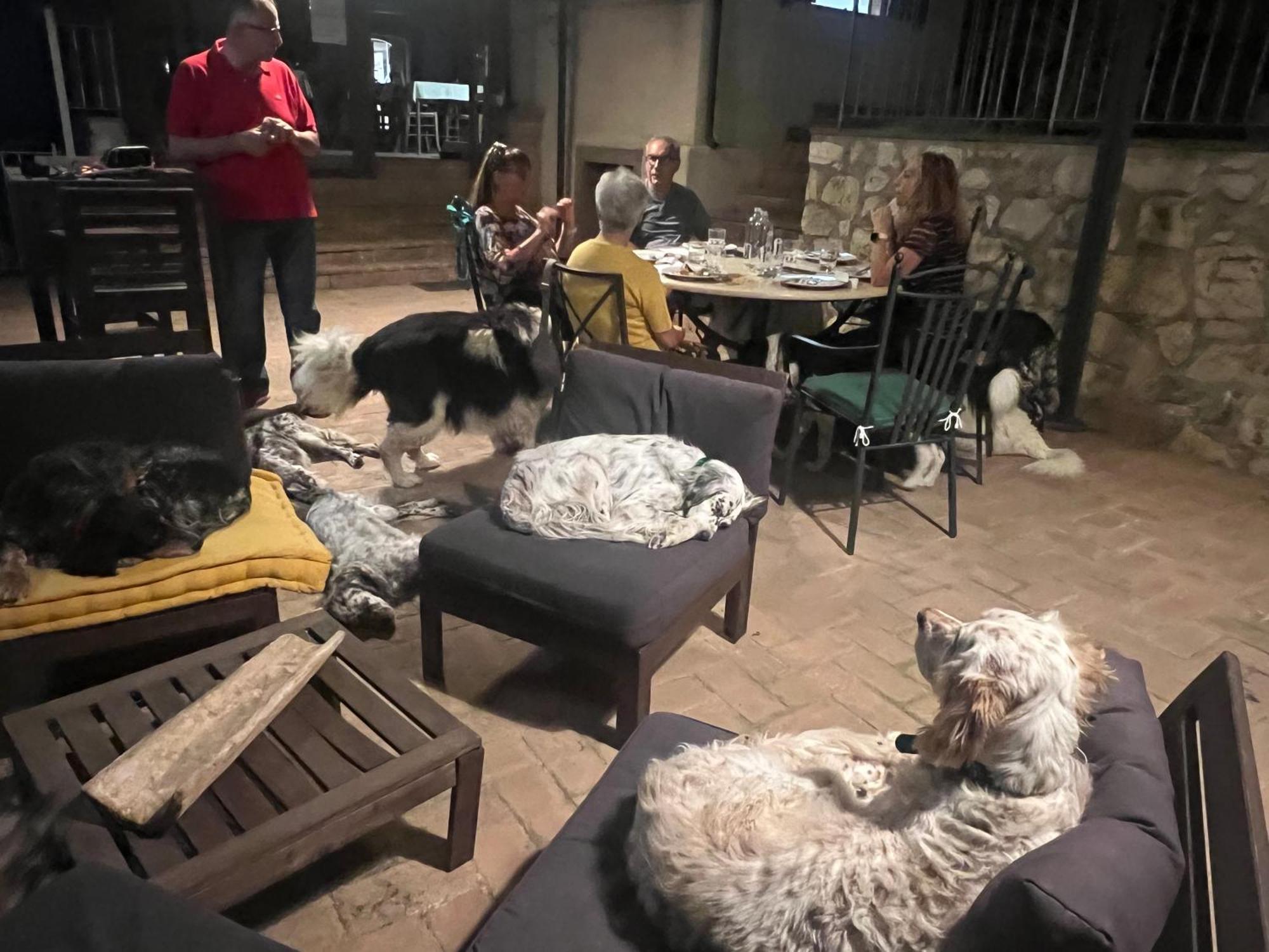 Setterhouseagrihotel 特雷维 外观 照片